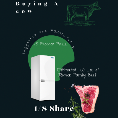 1/8 Beef Share - BALANCE DUE BEFORE SHIPPING